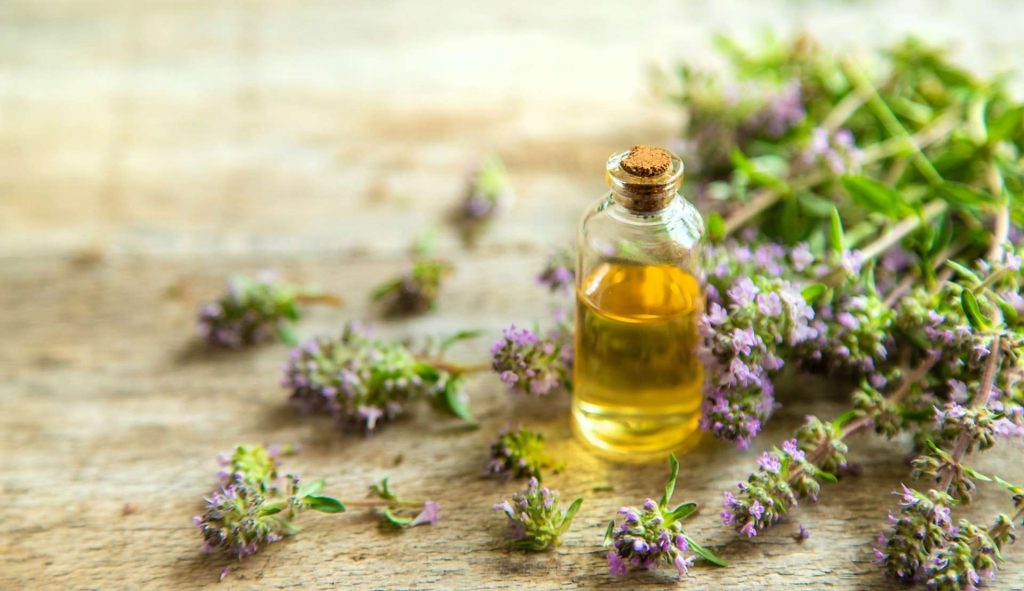 Essential oil of thyme in a bottle. Selective focus.